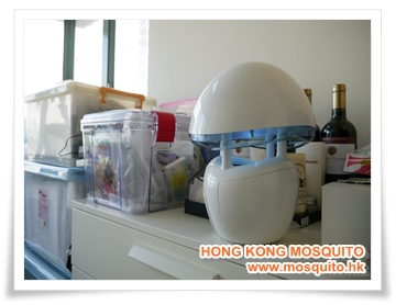 жϥΤ... inatrap GR-331 ǤĲCAȤϥι괺 - D`Nz : AMq Hong Kong Mosquito