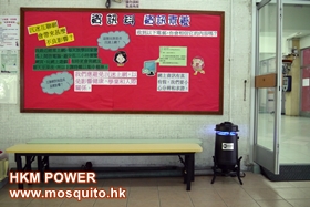 HKM POWER ±Nx~AȤ괺ۤ ; HONG KONG MOSQUITO www.mosquito.hk